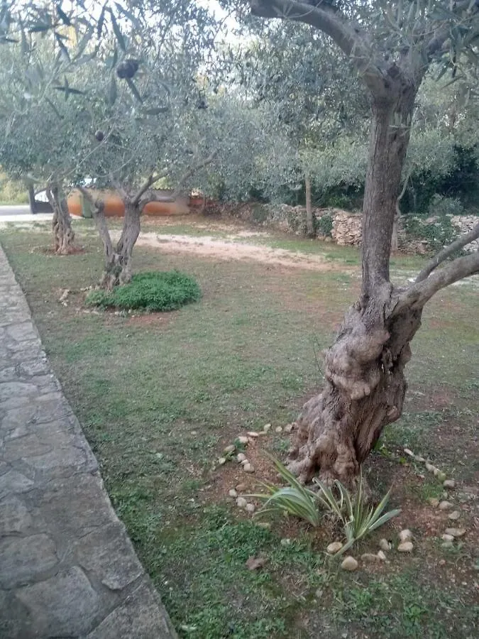 קרניצה Apartman Krcina קרואטיה